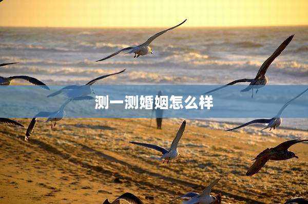 测一测婚姻怎么样