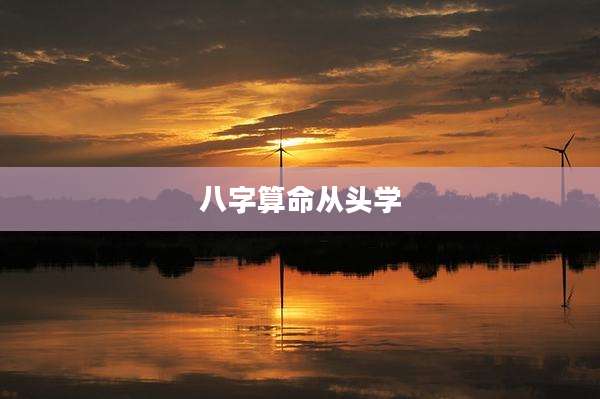 八字算命从头学