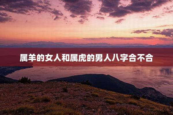 属羊的女人和属虎的男人八字合不合
