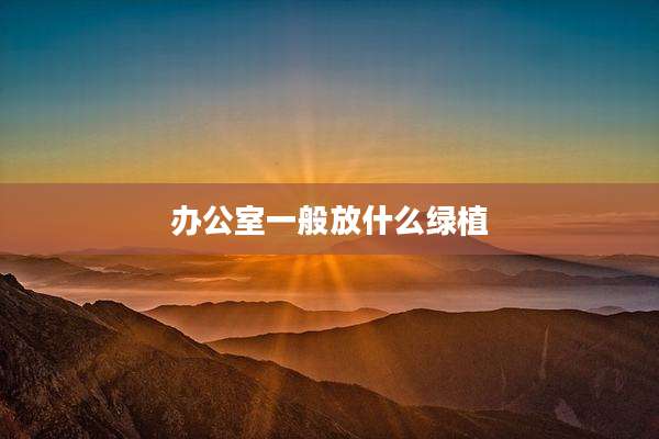 办公室一般放什么绿植