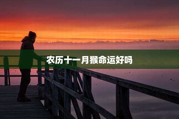 农历十一月猴命运好吗