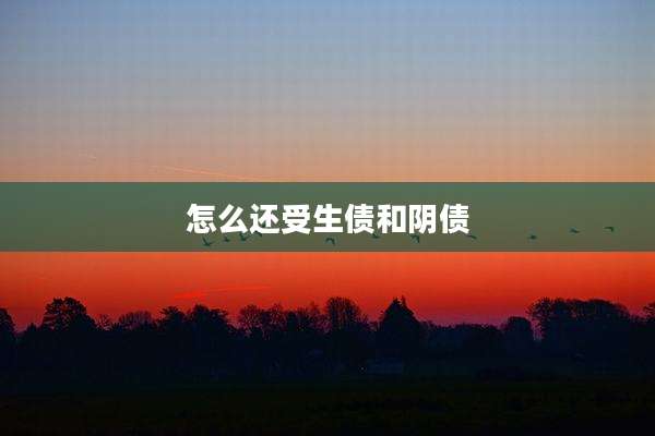 怎么还受生债和阴债