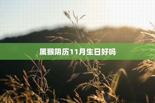 属猴阴历11月生日好吗