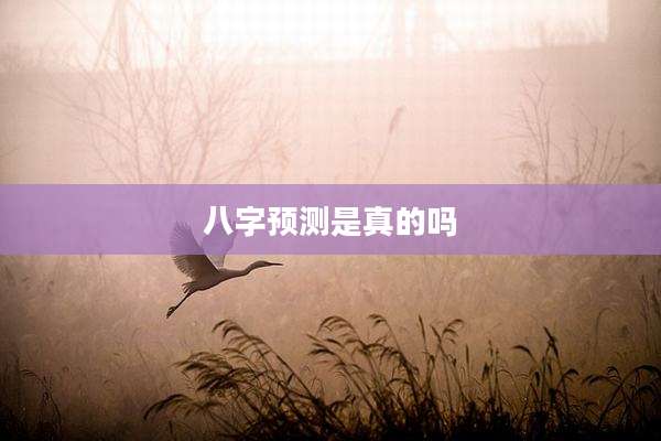 八字预测是真的吗