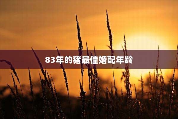 83年的猪最佳婚配年龄