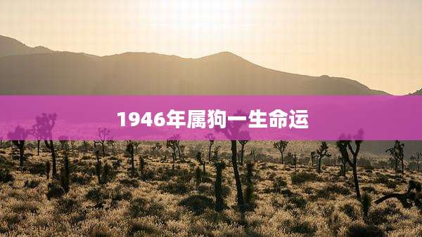 1946年属狗一生命运