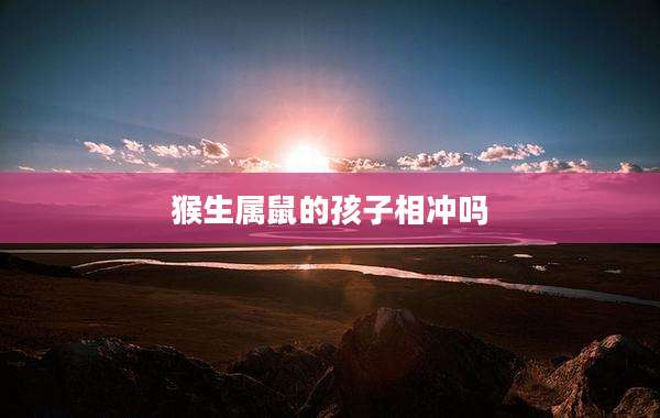 猴生属鼠的孩子相冲吗