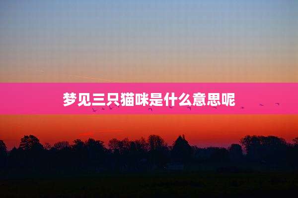 梦见三只猫咪是什么意思呢