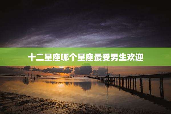 十二星座哪个星座最受男生欢迎