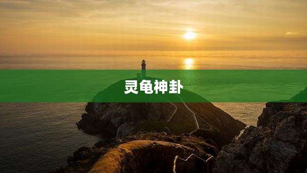 灵龟神卦
