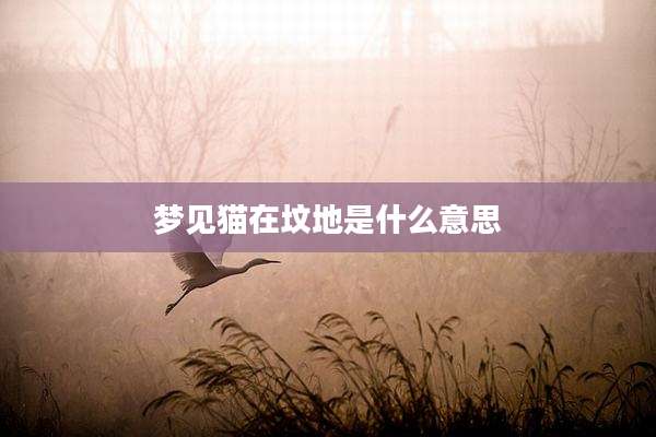 梦见猫在坟地是什么意思