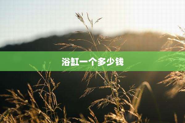 浴缸一个多少钱