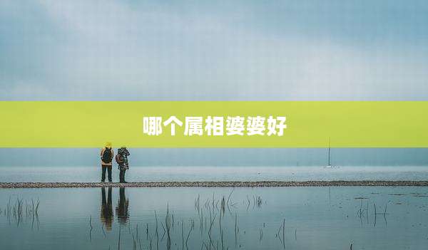 哪个属相婆婆好