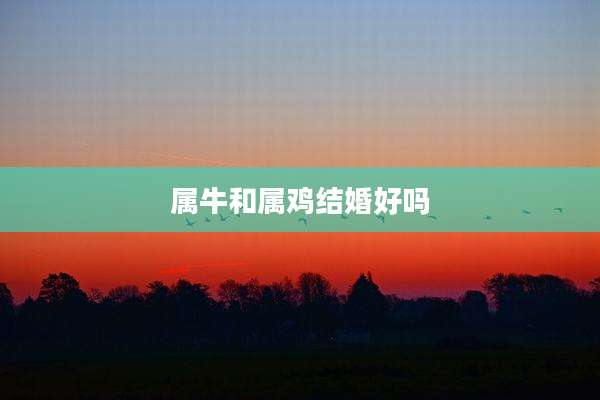 属牛和属鸡结婚好吗