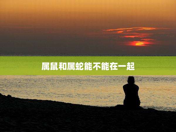 属鼠和属蛇能不能在一起