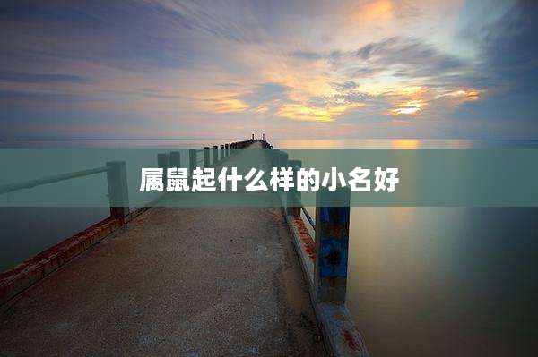 属鼠起什么样的小名好