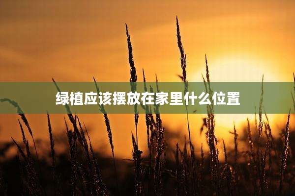 绿植应该摆放在家里什么位置