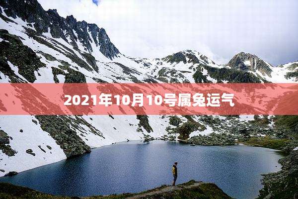2021年10月10号属兔运气