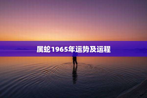 属蛇1965年运势及运程