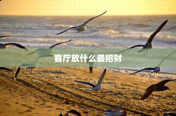 客厅放什么最招财