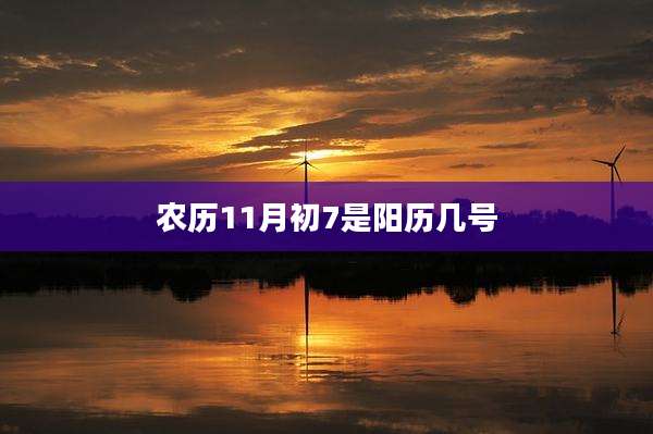 农历11月初7是阳历几号