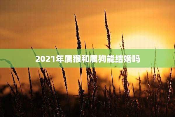 2021年属猴和属狗能结婚吗