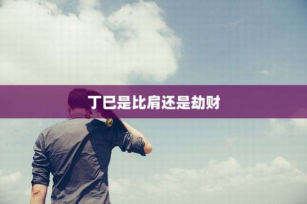 丁巳是比肩还是劫财