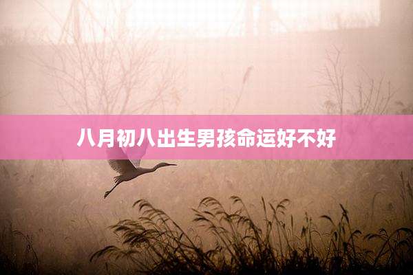 八月初八出生男孩命运好不好