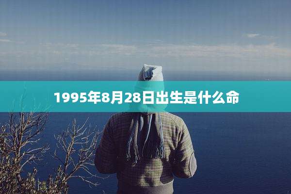 1995年8月28日出生是什么命