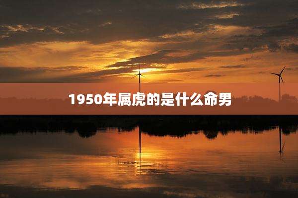 1950年属虎的是什么命男