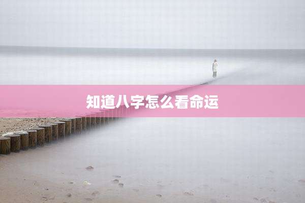 知道八字怎么看命运