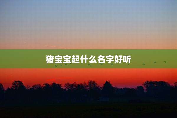 猪宝宝起什么名字好听