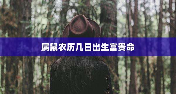 属鼠农历几日出生富贵命