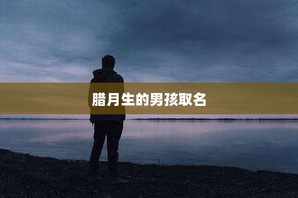 腊月生的男孩取名