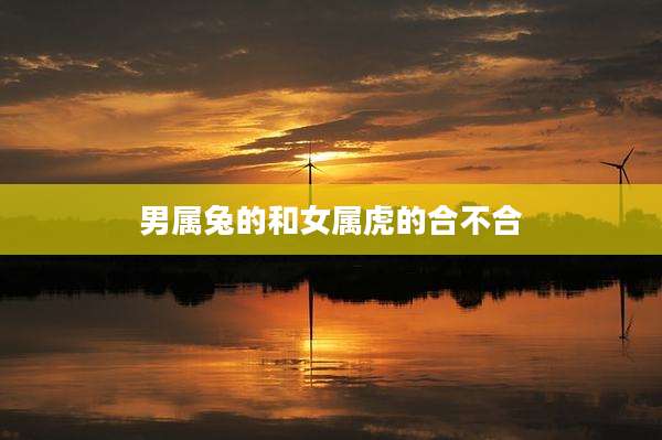 男属兔的和女属虎的合不合
