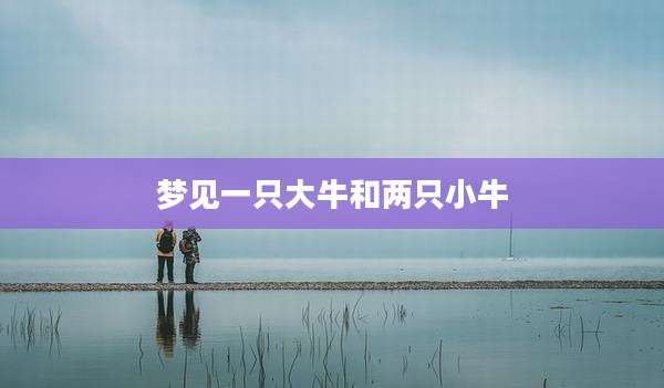 梦见一只大牛和两只小牛