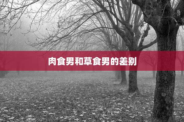 肉食男和草食男的差别