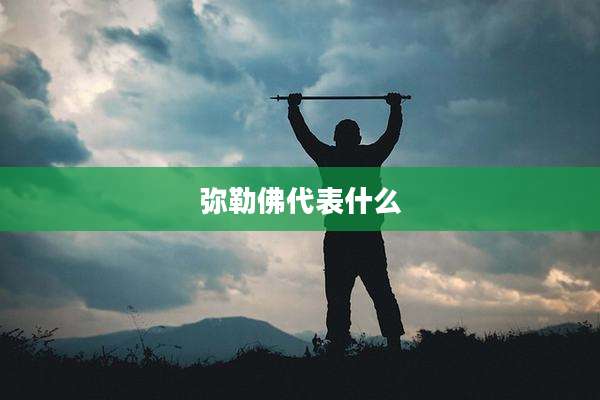 弥勒佛代表什么