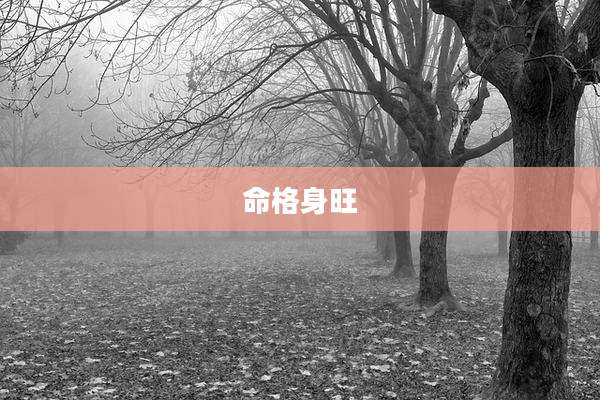 命格身旺