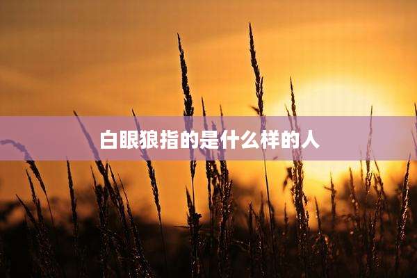 白眼狼指的是什么样的人