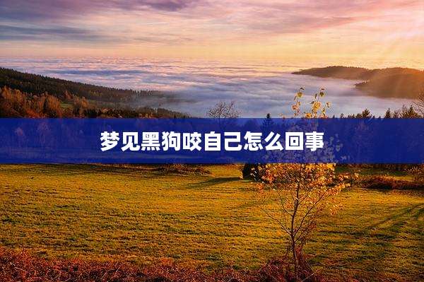 梦见黑狗咬自己怎么回事