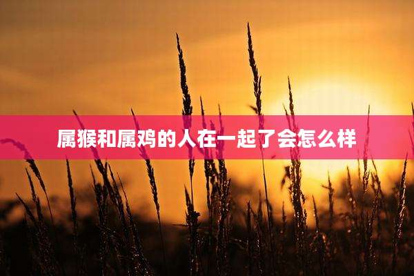 属猴和属鸡的人在一起了会怎么样