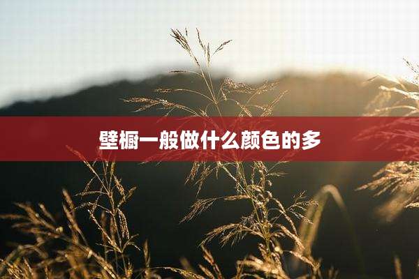 壁橱一般做什么颜色的多
