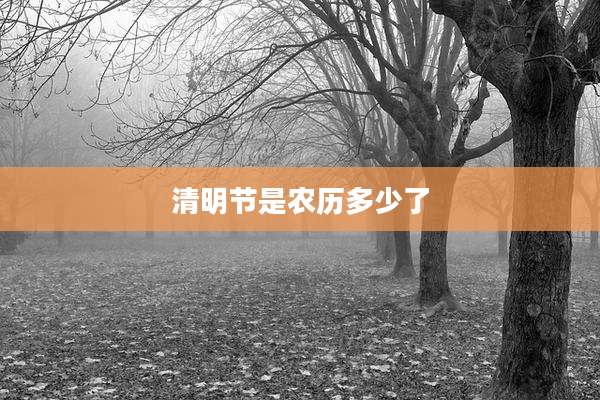 清明节是农历多少了