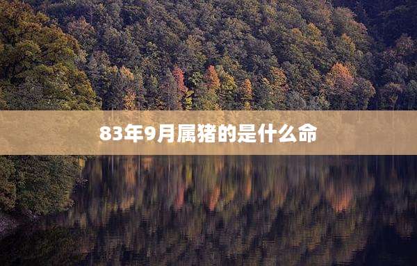 83年9月属猪的是什么命