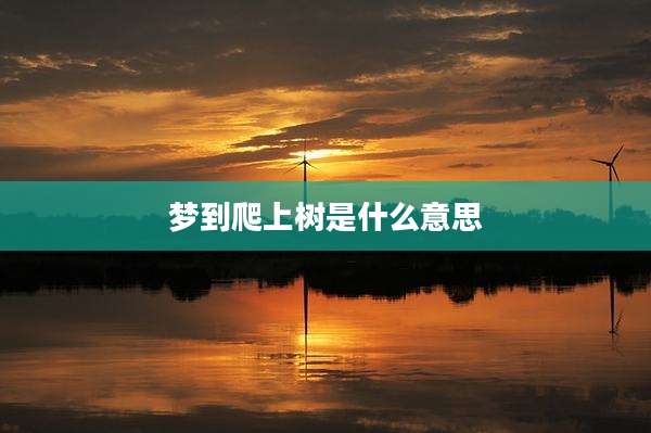 梦到爬上树是什么意思