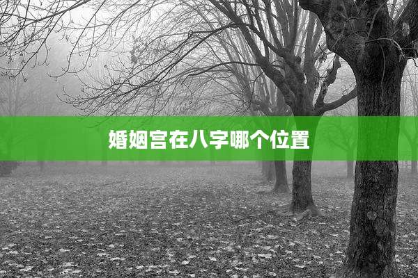 婚姻宫在八字哪个位置
