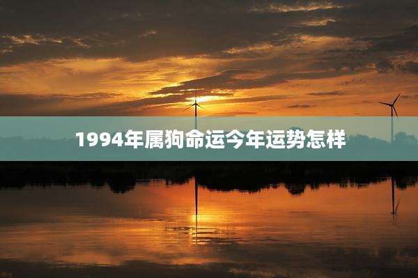 1994年属狗命运今年运势怎样