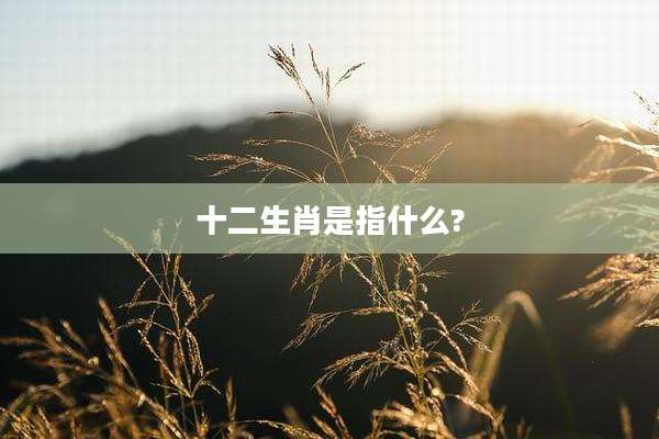 十二生肖是指什么?