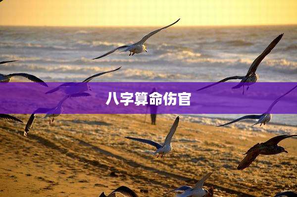 八字算命伤官